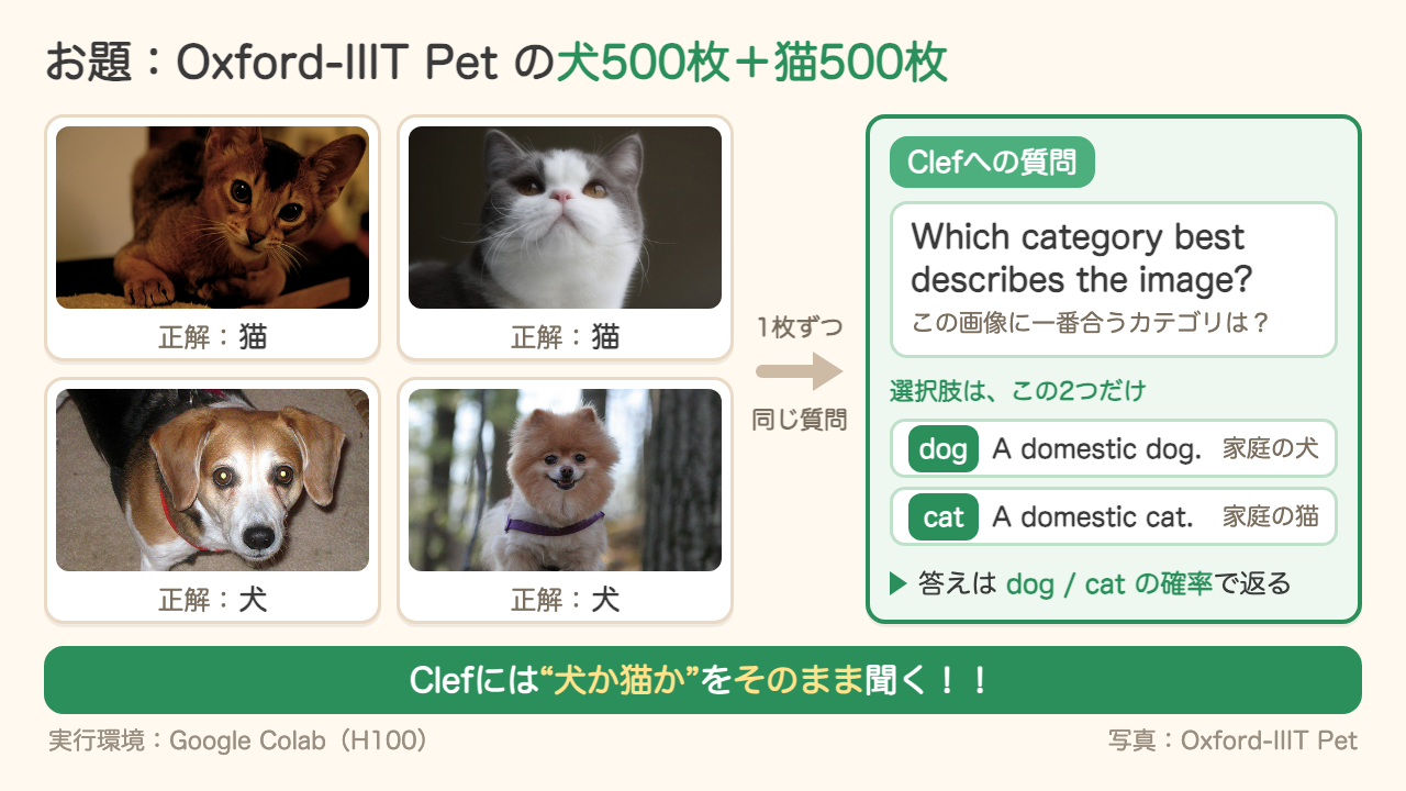 お題はOxford-IIIT Petの犬500枚＋猫500枚。Clefには英語で「この画像に一番合うカテゴリは？」と聞き、選択肢はdog（家庭の犬）とcat（家庭の猫）の2つだけ。実行環境はGoogle Colab（H100）