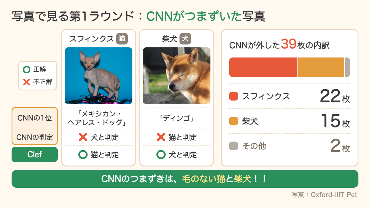 CNNがつまずいた写真。スフィンクス（猫）はメキシカン・ヘアレス・ドッグと判定されて犬扱い、柴犬はディンゴと判定されて猫扱いに。CNNが外した39枚の内訳はスフィンクス22枚・柴犬15枚・その他2枚（写真：Oxford-IIIT Pet）